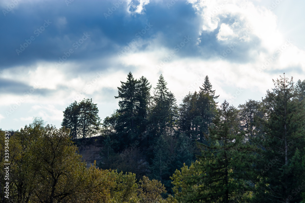 blue sky and fluffy clouds over a forested hill blue sky and fluffy clouds over a forested hill