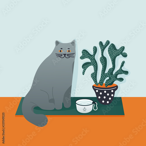 Cute british shorthair cat is sitting near cactus. Domestic animal and houseplant.