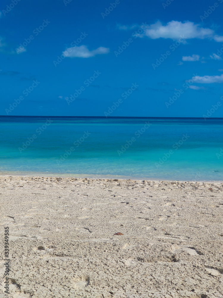 Caribbean beach with turquoise sea in the bahamas Caribbean beach with turquoise sea in the bahamas