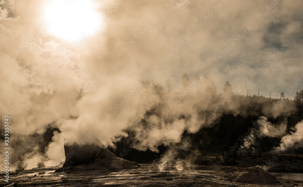 Early Morning Steam of Giant Geyser, Upper Geyser Basin, Yellowstone National Park, Wyoming, USA