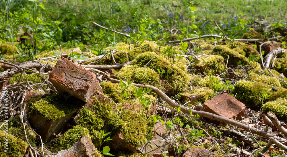 Old broken bricks covered in moss, half hidden in the undergrowth . Found in Stanmore Country Park, Middlesex UK. Old broken bricks covered in moss, half hidden in the undergrowth . Found in Stanmore Country Park, Middlesex UK.