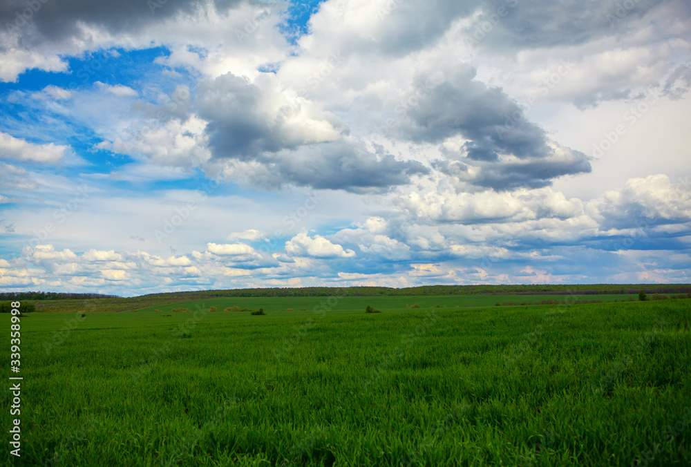 low clouds over the green field