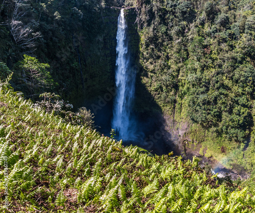 Kolekole Stream Plunges Over Akaka Falls, Akaka Falls State Park, Honomu,Hawaii, Hawaii, USA photo
