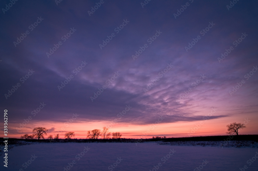 The pastel colors of a winter sunset over a frozen wetland conservation area.