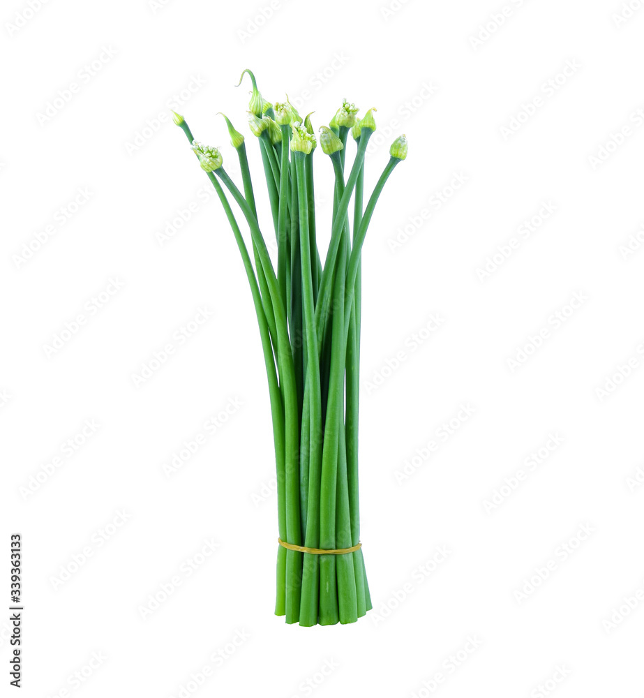 chives flower or chinese chive isolated on white background