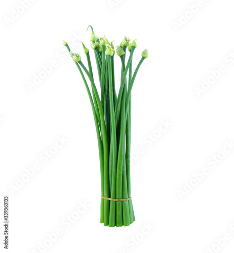 chives flower or chinese chive isolated on white background