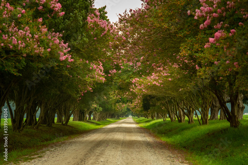 Spring Road