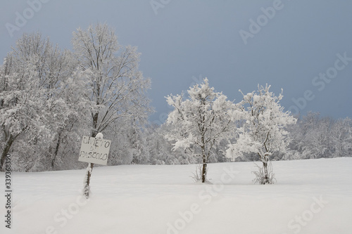 Tree and herd sign with snow