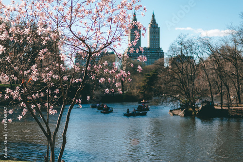New York City, NY, USA - 04/08/2019: 
Central Park
