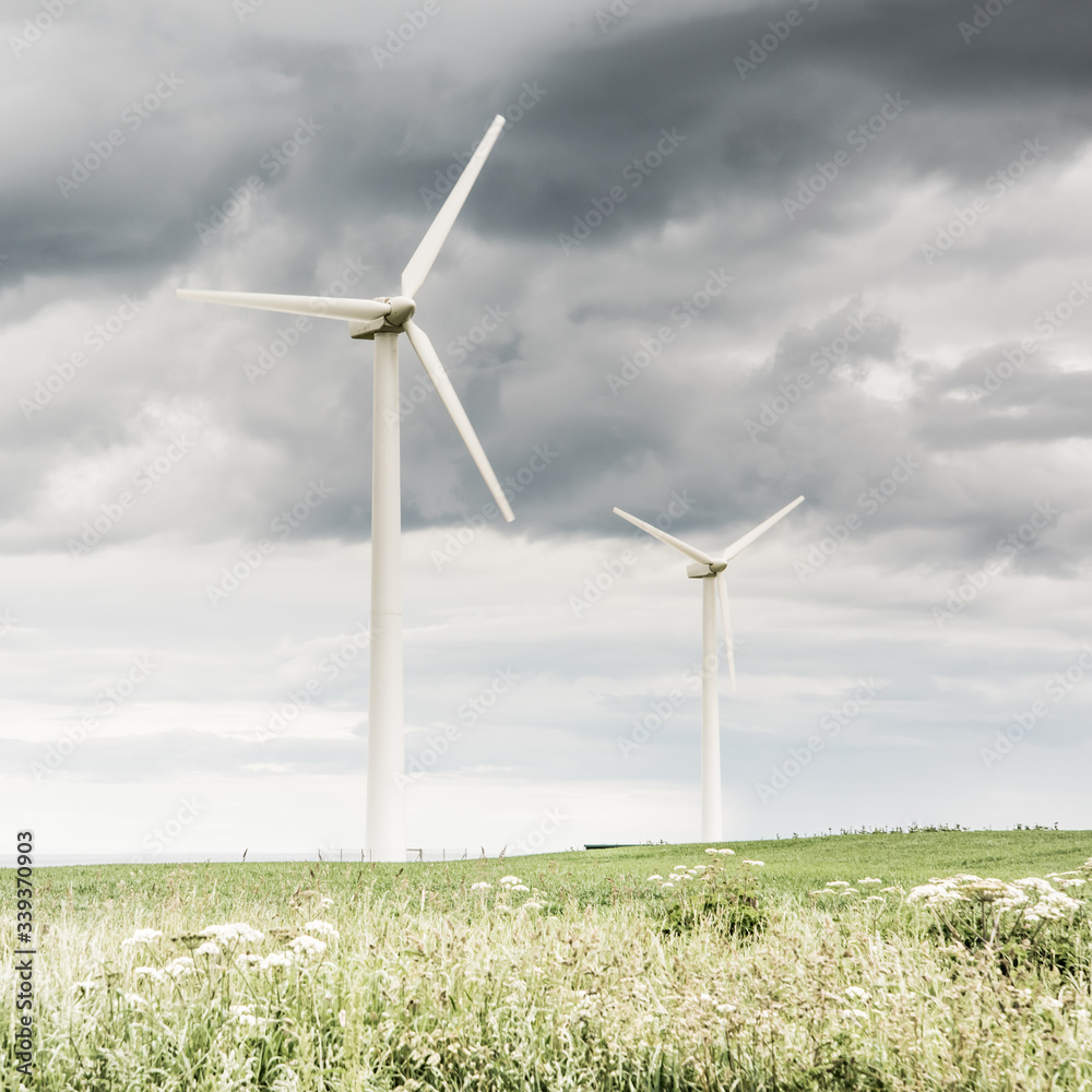Fototapeta premium wind power turbine on green grass hills