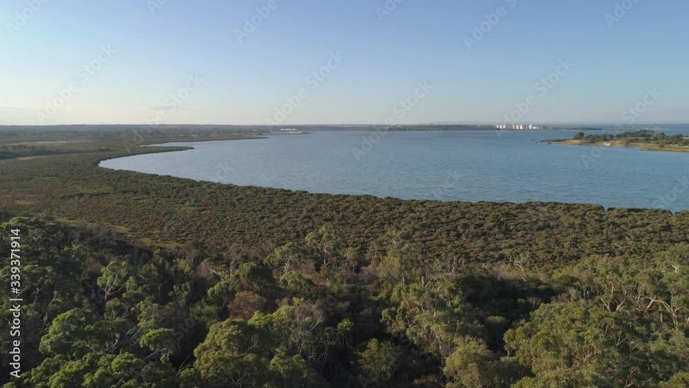 custom made wallpaper toronto digitalAerial descend among trees and ocean coastline