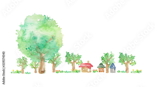 大きな丸い立木、郊外の風景