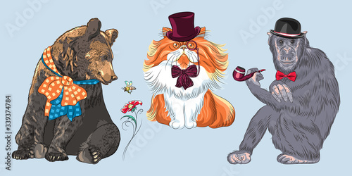 Set of hipster animals. Monkey in Bowler Hat and bow tie with tobacco pipe, bear with bow, red fluffy Persian cat in hat, glasses and bow tie