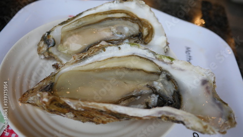delicious oyster cuisine and dishes 