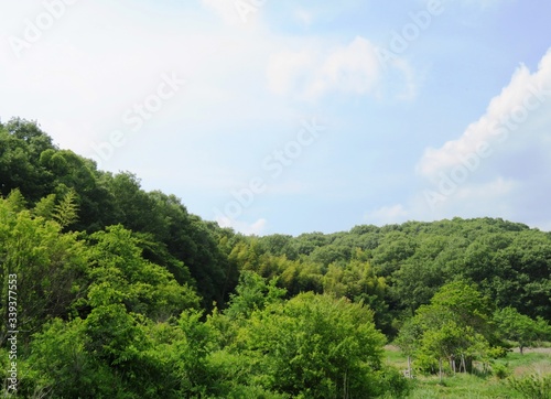 日本の田舎の風景　6月　山と青空 © 史恵 堤