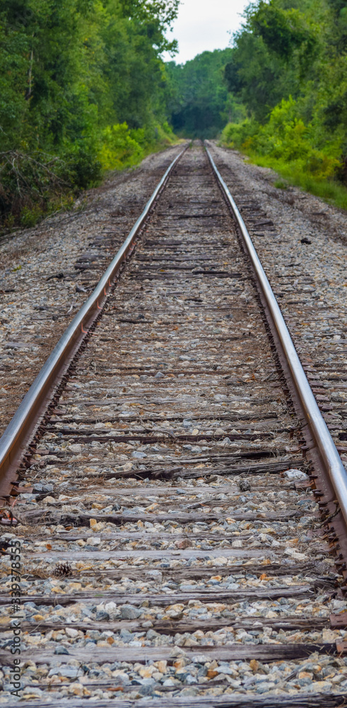 Obraz premium Abandoned Countryside