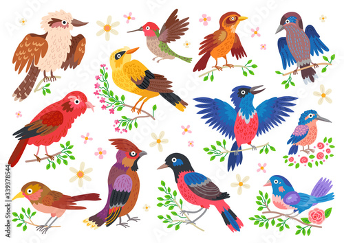 Set of forest birds. Vector cartoon songbirds