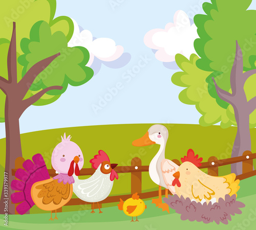 farm animals poultry goose duck rooster turkey hen and chicken cartoon