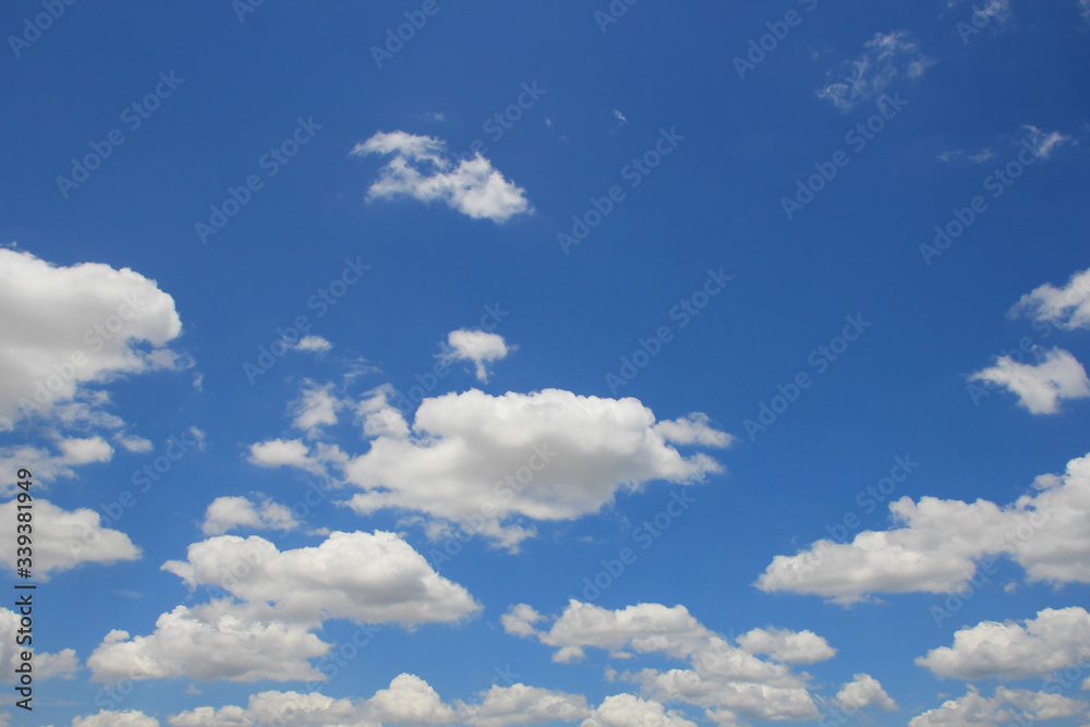 Fototapeta premium blue sky with white clouds