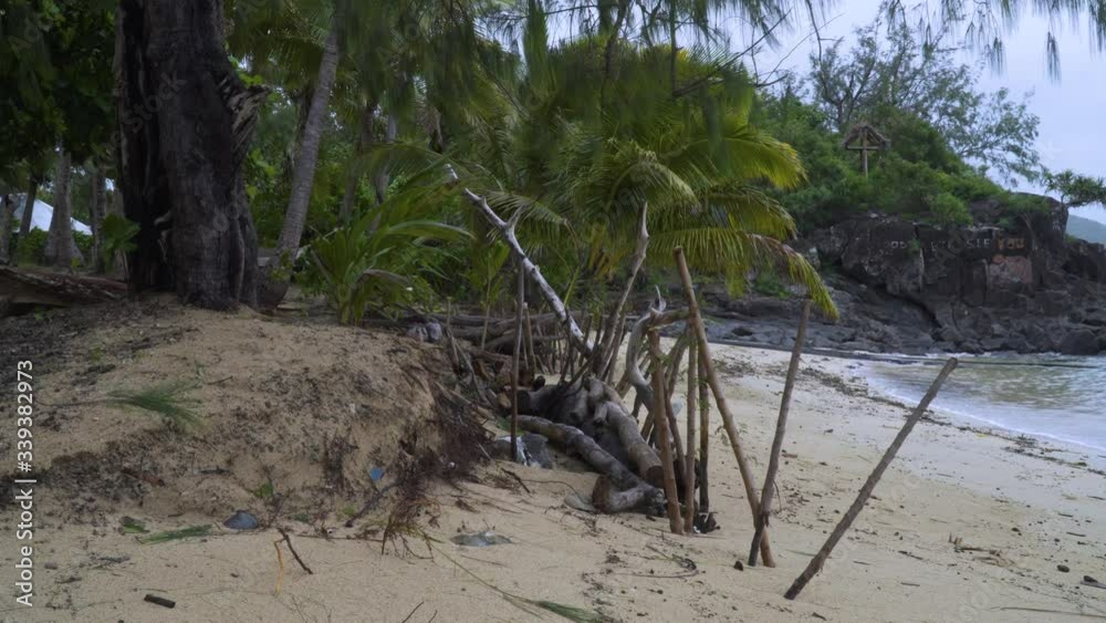 Tree Roots And Beach Fences Damaged And Exposed By The Erosion Of The Sand In Fiji Islands. - medium shot Tree Roots And Beach Fences Damaged And Exposed By The Erosion Of The Sand In Fiji Islands. - medium shot