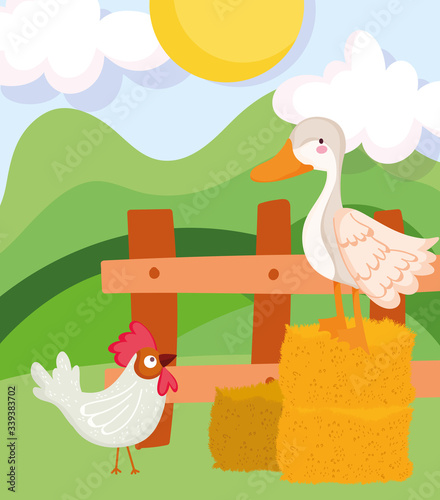 farm animals goose and rooster hay wooden fence cartoon
