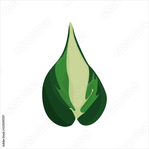 Botanical leaf clip art natural illustration