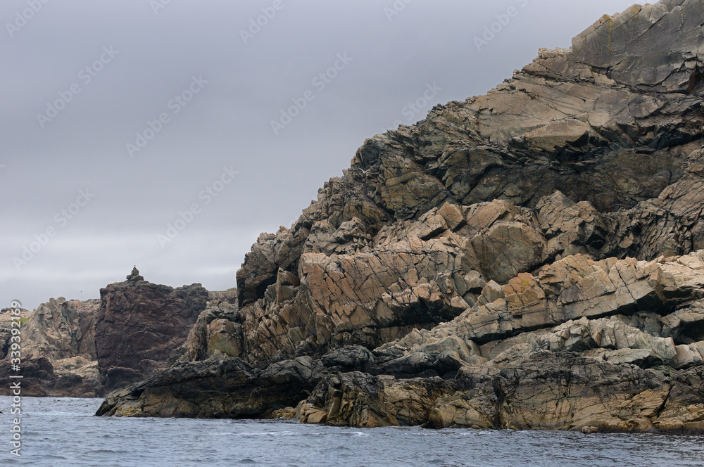 Cracked and fissured ancient rock cliff face on the Atlantic coast of Twillingate Island Newfoundland