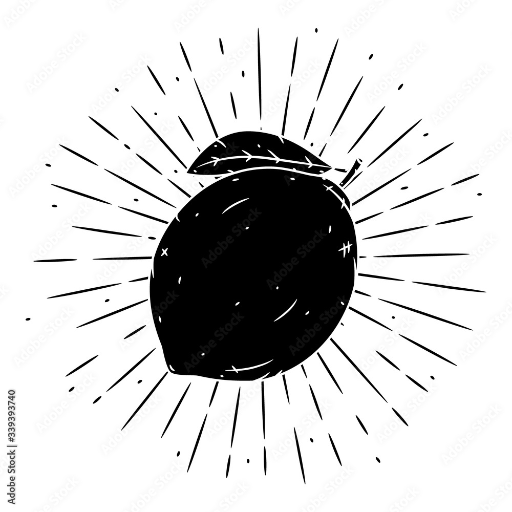 Fotografie Hand drawn vector illustration with Lemon fruit and divergent rays