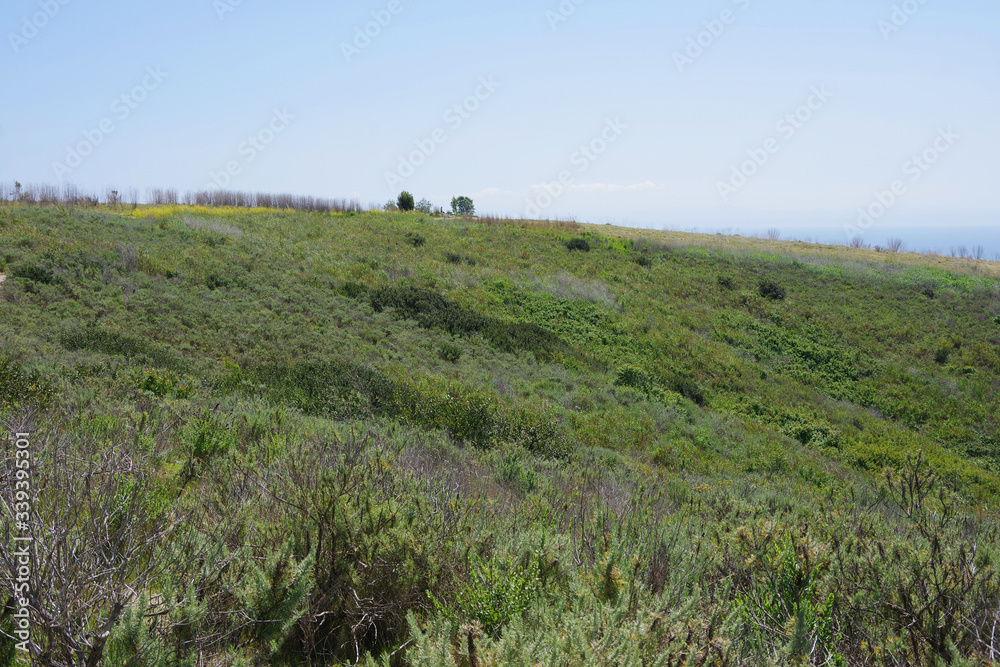 Panoramic view of an area of California natural reserve coastal highlands with a glimpse of the ocean in the background on an early spring day Panoramic view of an area of California natural reserve coastal highlands with a glimpse of the ocean in the background on an early spring day