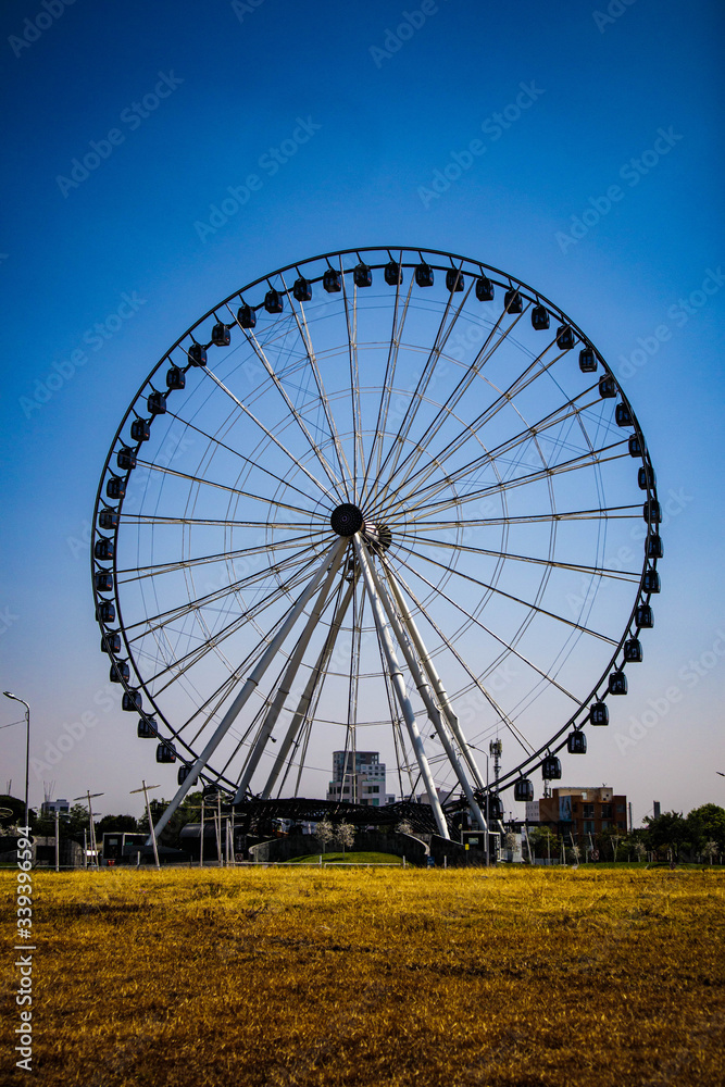 Fototapeta premium Estrella de puebla