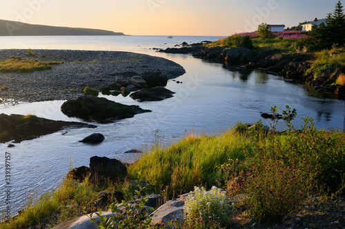 Wildflowers along Mobile River at sunset with a boat in the Bay on Avalon Peninsula Newfoundland photo