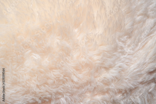 Texture of shaggy fur background. Detail of soft hairy skin material.