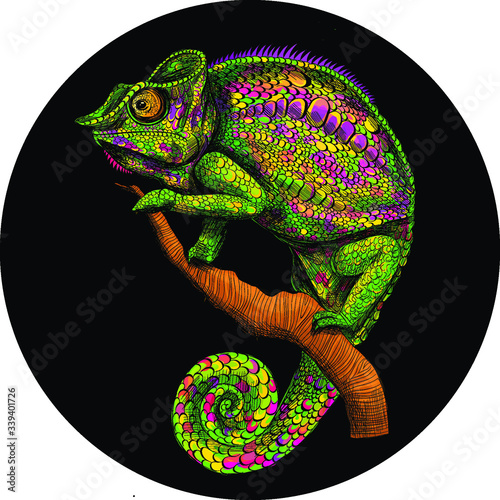 stylized chameleon green graphics abstraction on black background