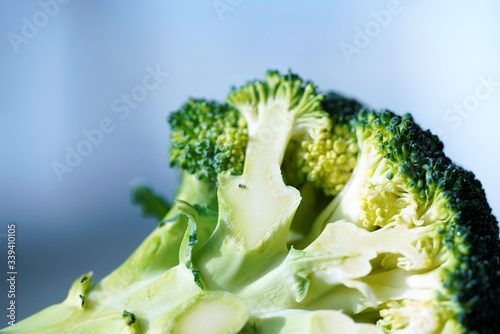 close up of broccoli on white