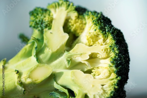 broccoli on a white background