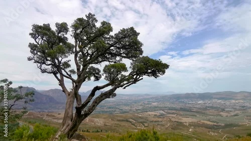 Scenic South Africa landscape overview.
Concept: