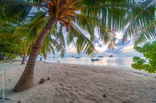 Fototapeta Naklejka Na Ścianę i Meble -  The beautifull beach of Dhangethi, maldives. Known for Diving, day tour for resort and this beautifull beaches and the swing in the water