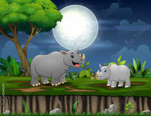 A rhino and her cub playing at night