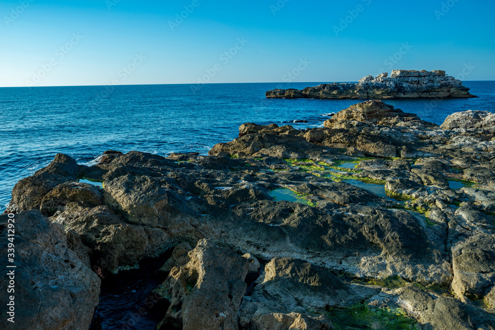 rocks in the bay and marine vegetation in waters