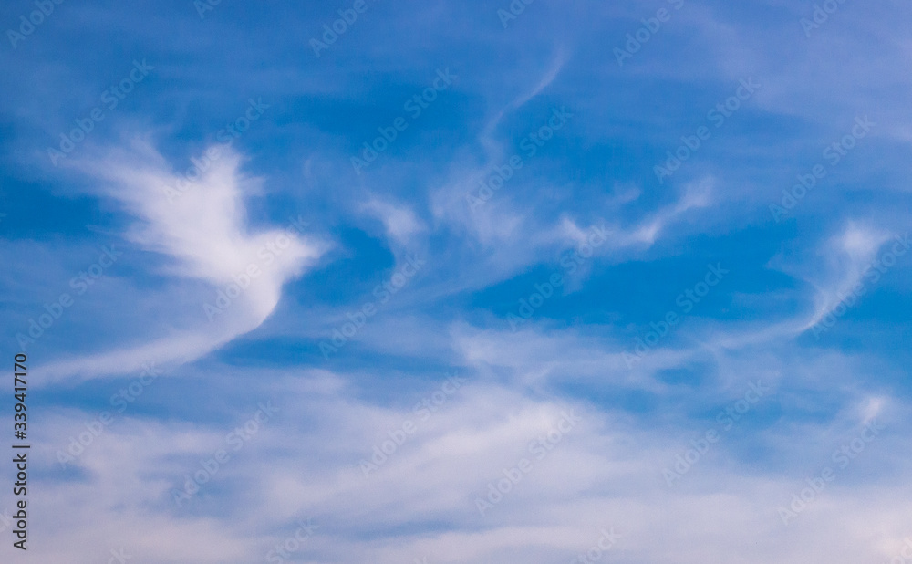 Angel cloud in white dove shape on blue sky Angel cloud in white dove shape on blue sky