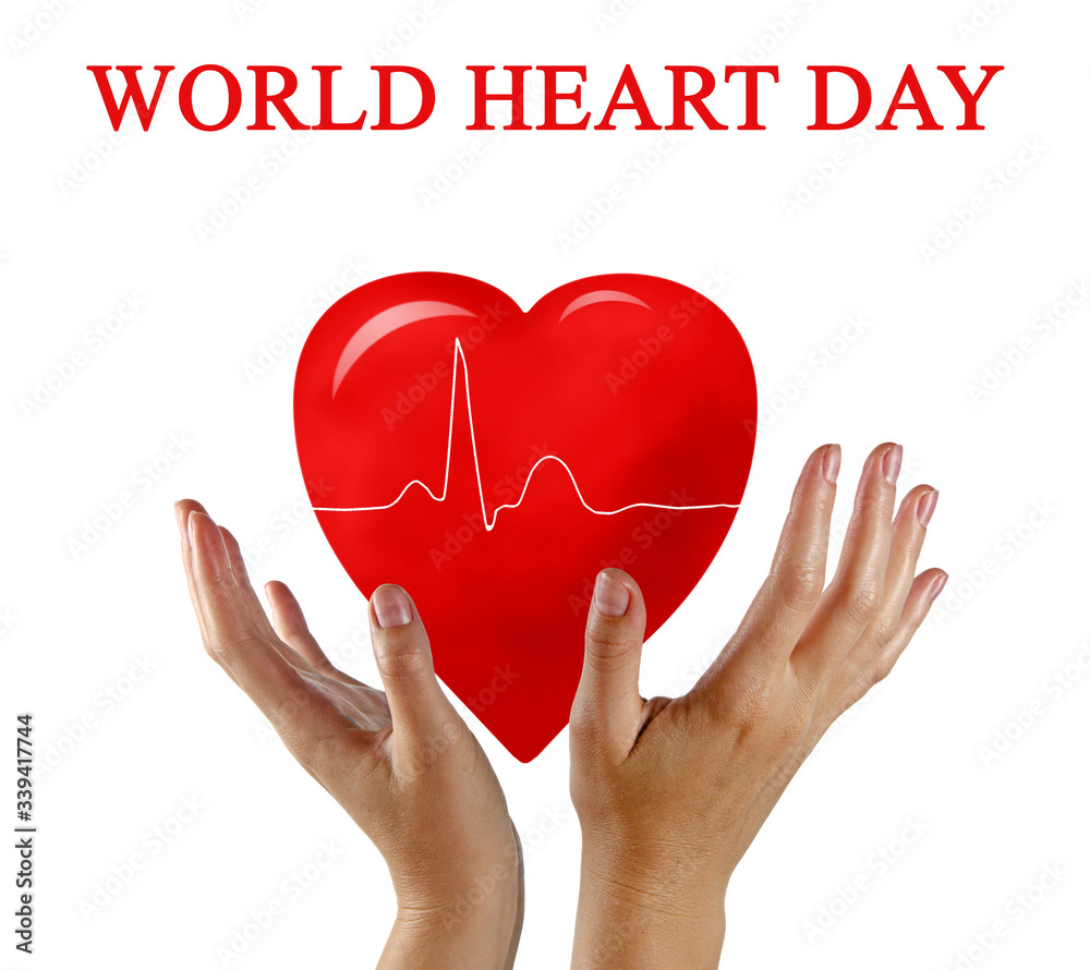 Heart as a symbol of world heart day Stock Photo Adobe Stock