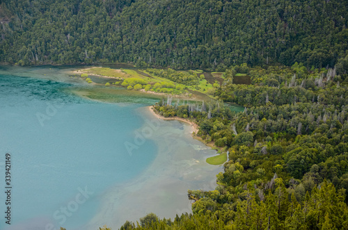 Aerial view of forest in natural park with huge lake