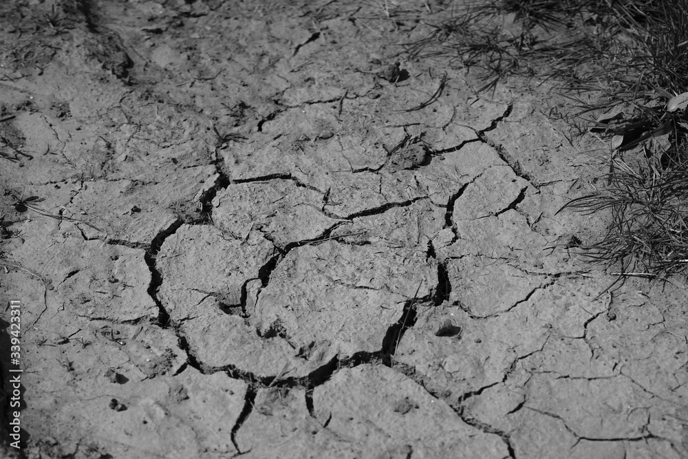 Fototapeta premium cracked soil texture