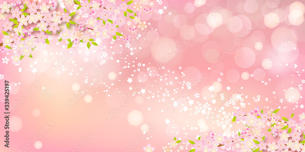 Fototapeta premium 桜