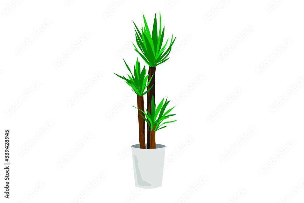 観葉植物ユッカのイラスト 観葉植物ユッカのイラスト