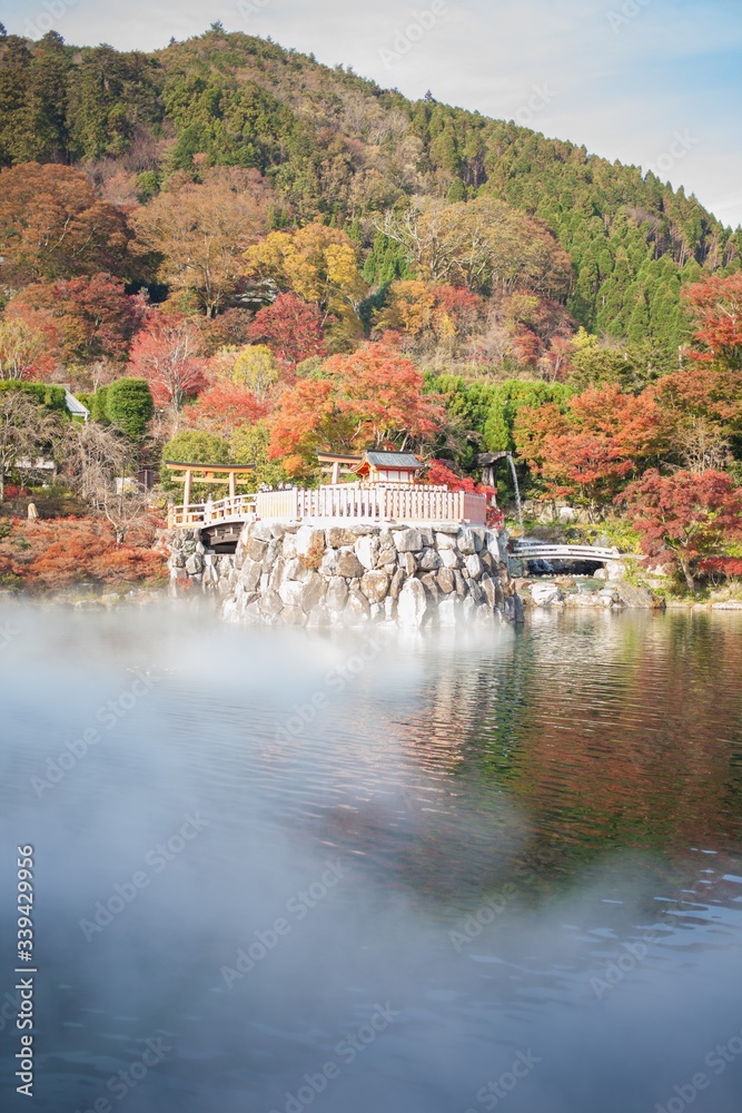 Fototapeta premium 霧の出る池