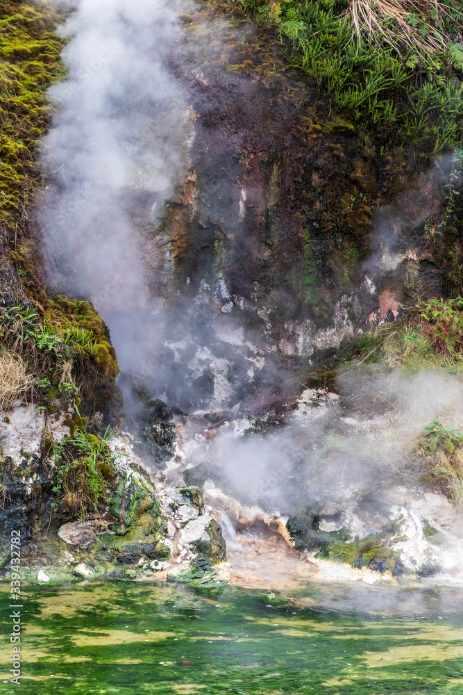 Hot springs at Waimangu geothermal park in New Zealand. Hot springs at Waimangu geothermal park in New Zealand.