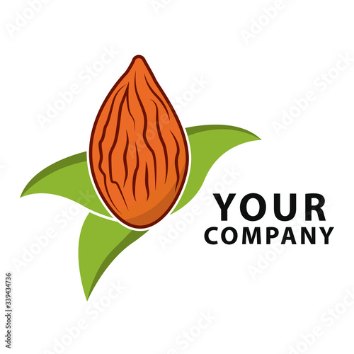 Almond colorful logo template. Plant vector design. Eco food illustration