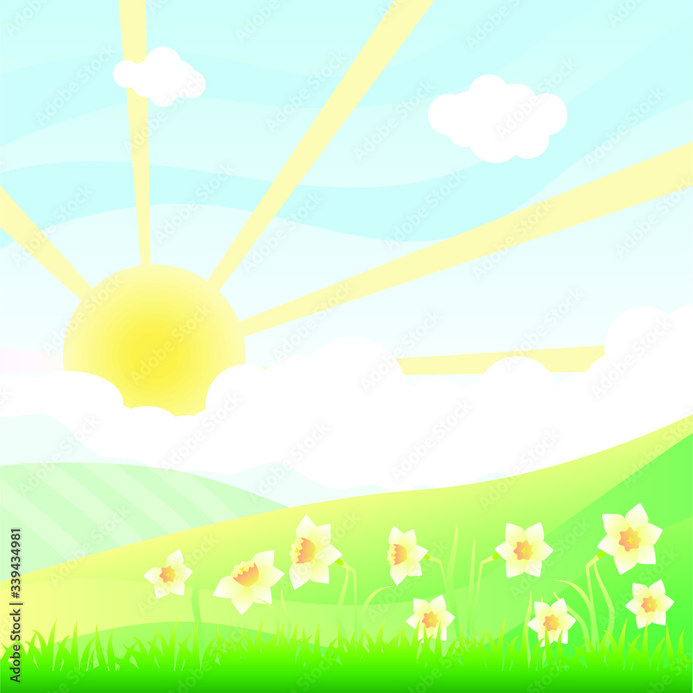 Naklejka premium Landscape with daffodils. Green hills and sun. Vector illustration.