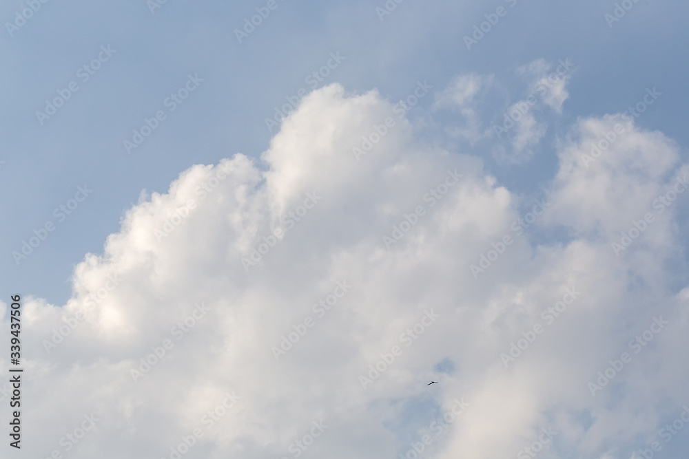 .Clouds in the firmament, evening sunset, clear Sunny day. .Clouds in the firmament, evening sunset, clear Sunny day.